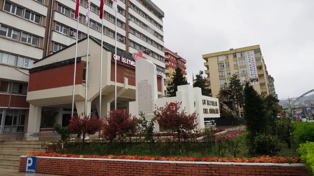 ÇAYKUR’dan Üreticilere Uyarı: “Hasadı Aceleye Getirmeyin”