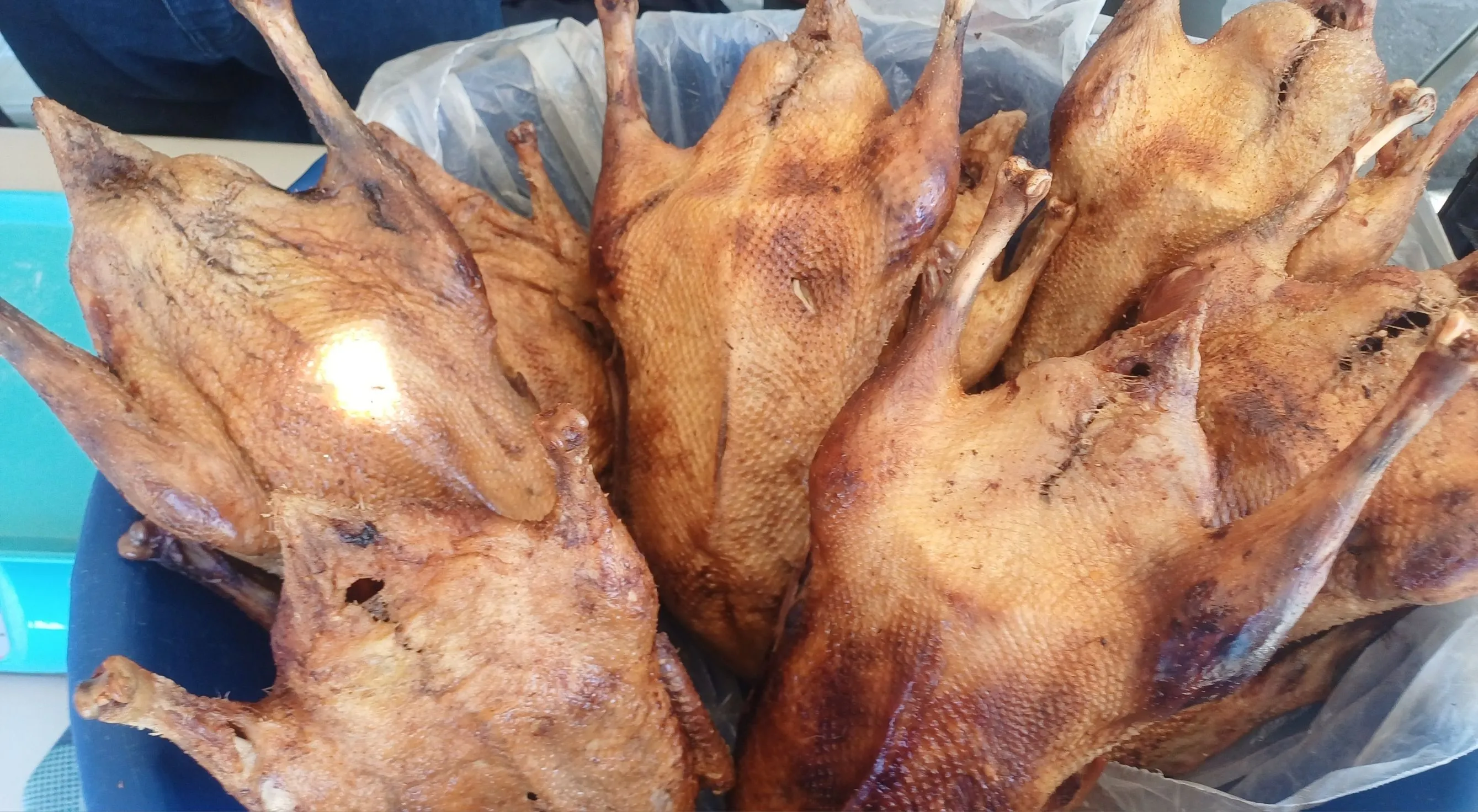 Dörtdivan panayırı başladı