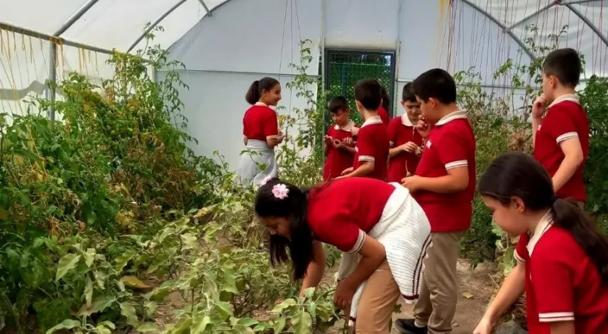 Erzincan’da öğrenciler serada kış sebzelerinin ekimine başladı