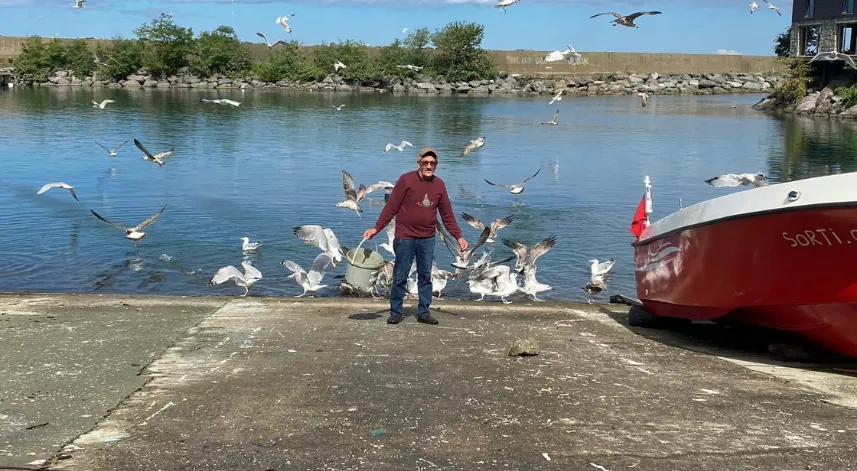 Artvin'li balık ustası 30 yıldır aynı yerde balık artıklarıyla martıları besliyor