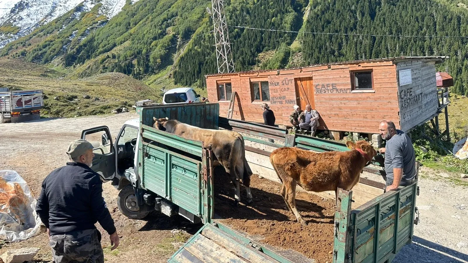 Rize’de yaylalardan dönüş erken başladı
