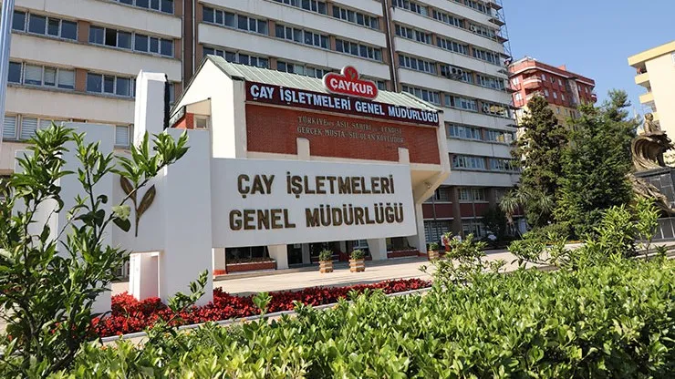 ÇAYKUR'dan Yaş Çay Üreticilerine Önemli Duyuru: Sezon Sonuna Yaklaşıldı