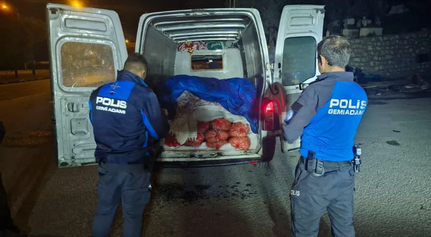 Samsun'da kaçak avlanan 5 ton midye ele geçirildi