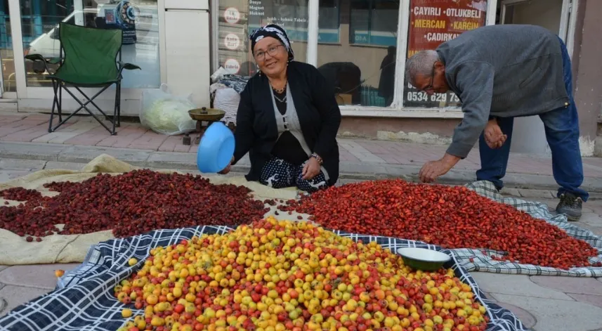 Tercan dağlarında yetişen yaban meyveleri pazar tezgahlarını süslüyor