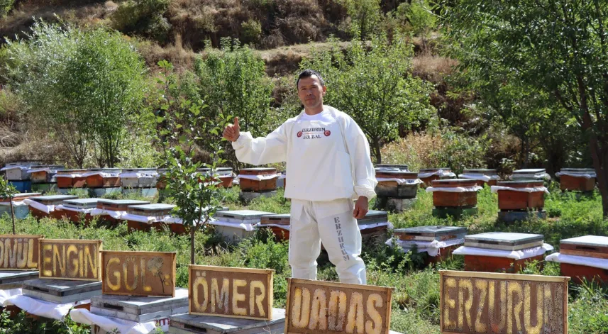 Arılarına yazmayı öğretti