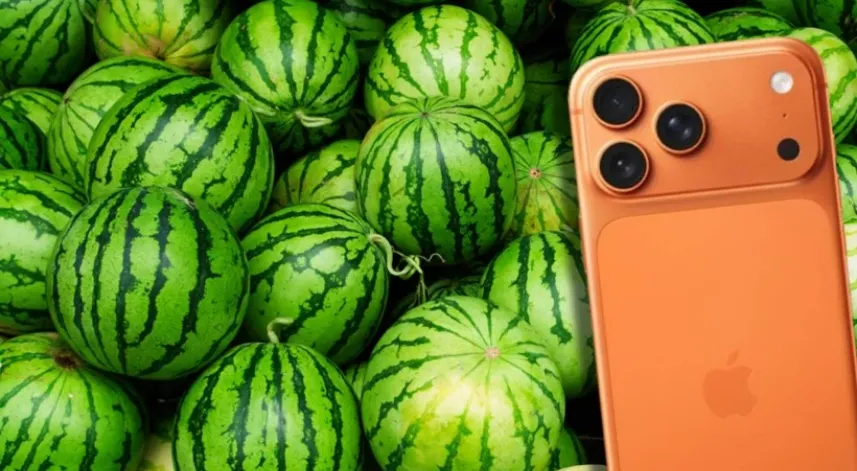 30 tır karpuz 1 iPhone ediyor