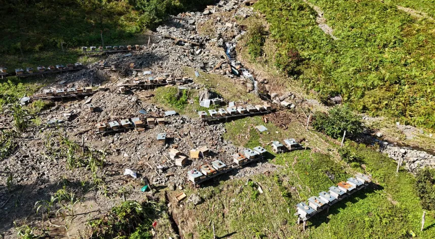 Artvin’de selde arı kovanları da zarar gördü