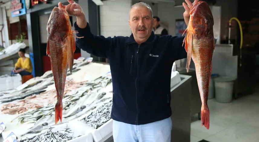 Ordu'da kırlangıç balığının ağlara takılması balıkçıları sevindiriyor