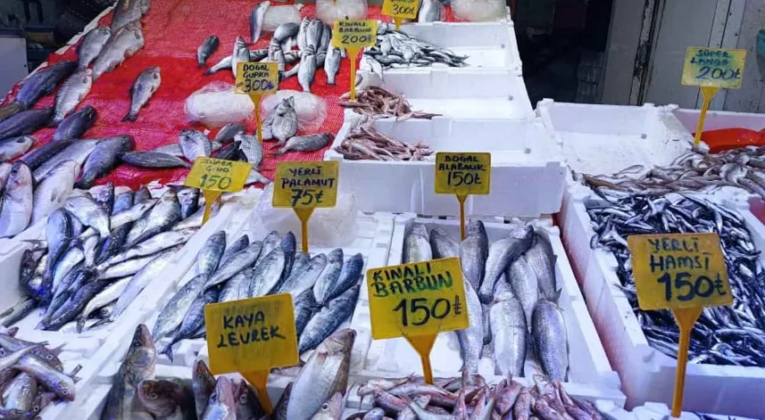 Hamside fiyat yarıya düştü, tezgahlarda yoğun ilgi