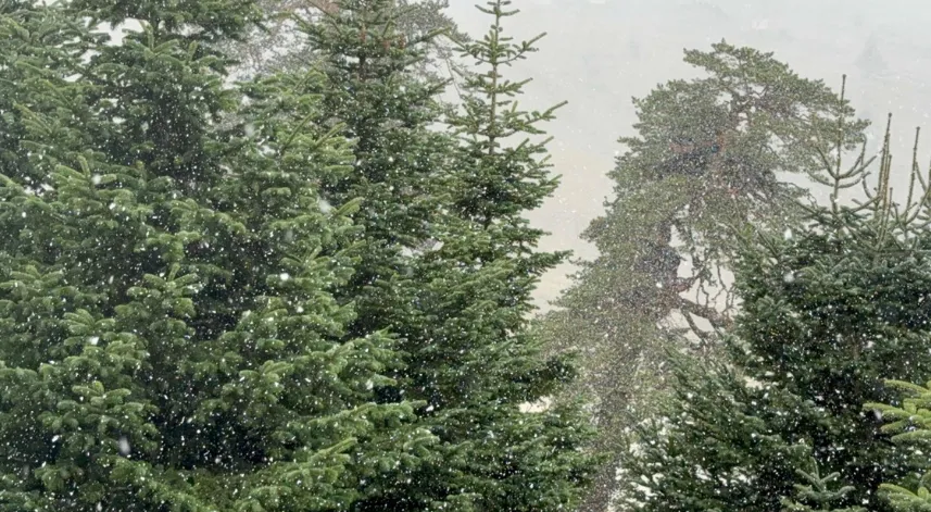 Bolu'nun yüksek kesimlerine kar yağdı