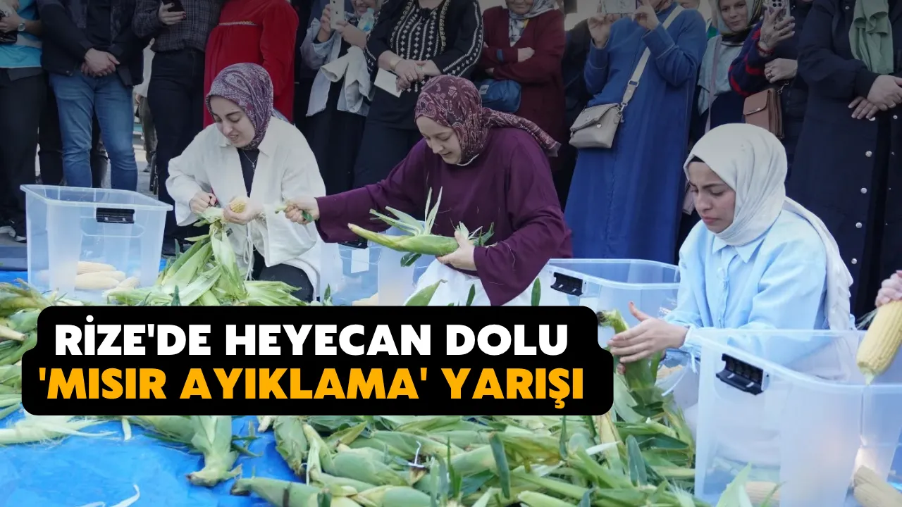 Rize'de heyecan dolu 'mısır ayıklama' yarışı