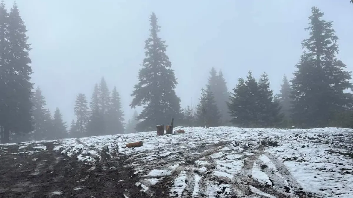 Bartın'ın yüksek kesimlerine kar yağdı