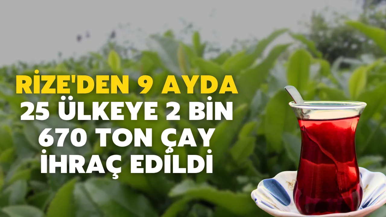 Rize'den 9 ayda 25 ülkeye 2 bin 670 ton çay ihraç edildi
