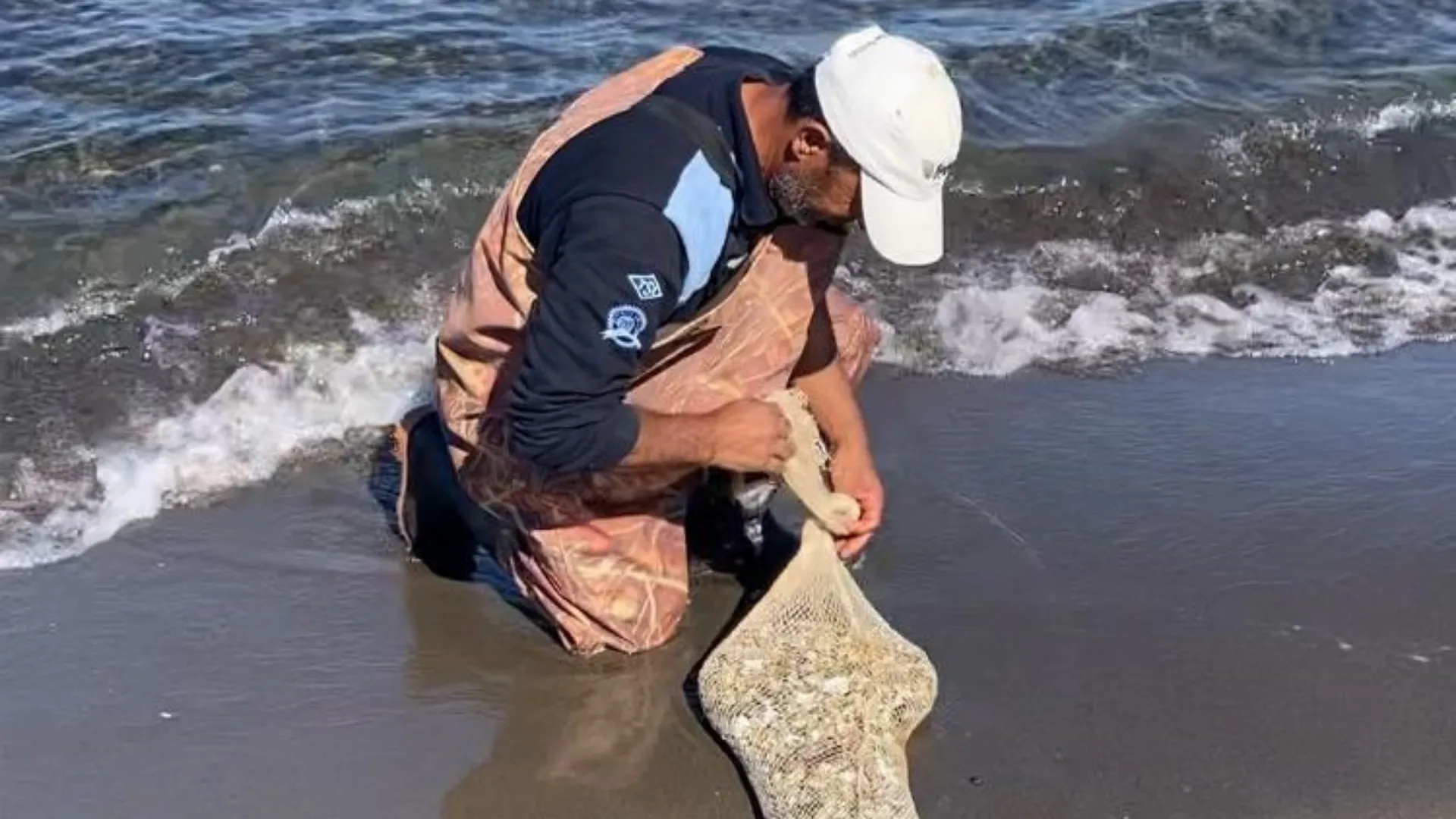 Samsun'da, kaçak yolla avlanan yaklaşık 1 ton kum şırlanı ele geçirildi