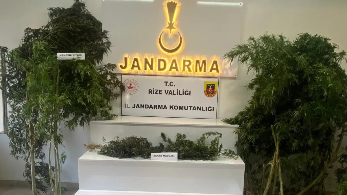 İkizdere'de uyuşturucu operasyonu: 2 gözaltı