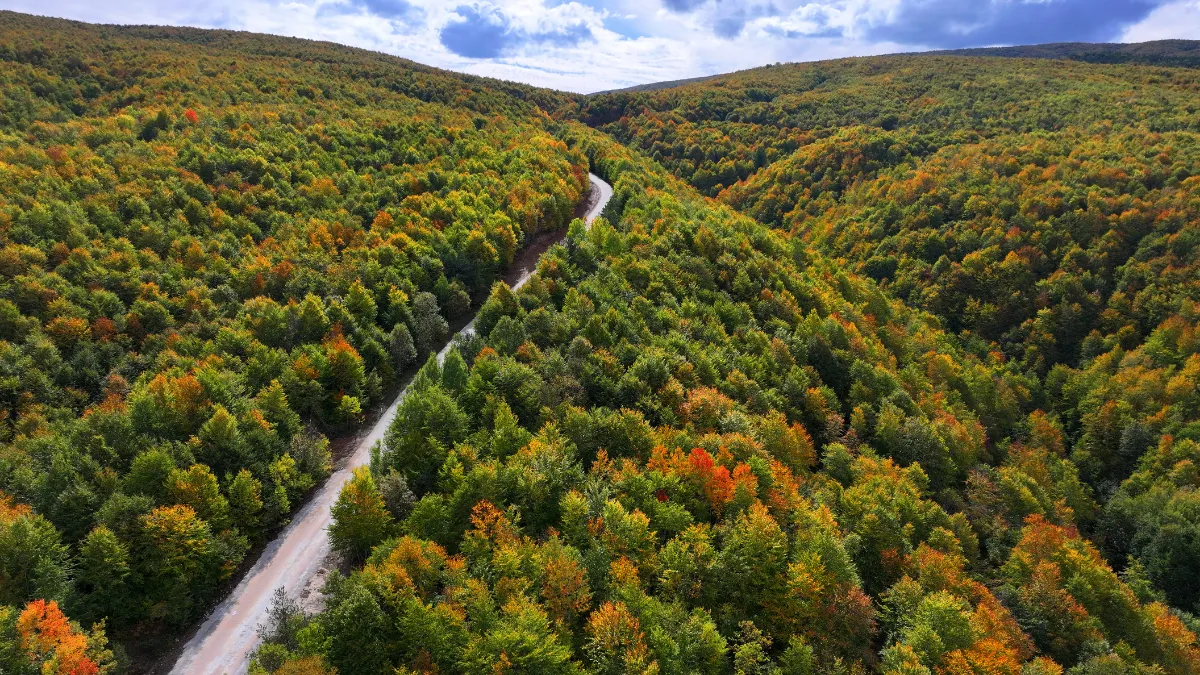 Tokat’ta sonbaharın güzelliği havadan görüntülendi