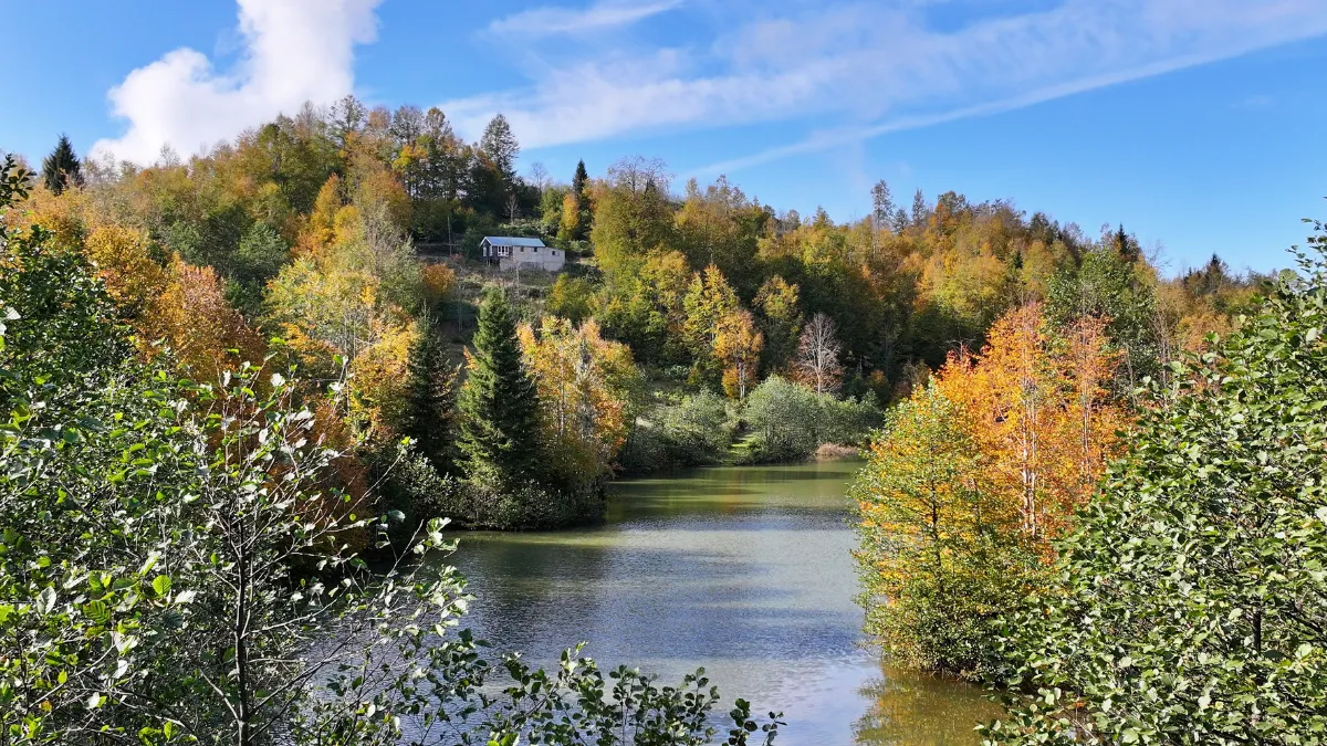 Trabzon'daki Taşlıyatak Yaylası ziyaretçilerini sonbahar renkleriyle karşılıyor