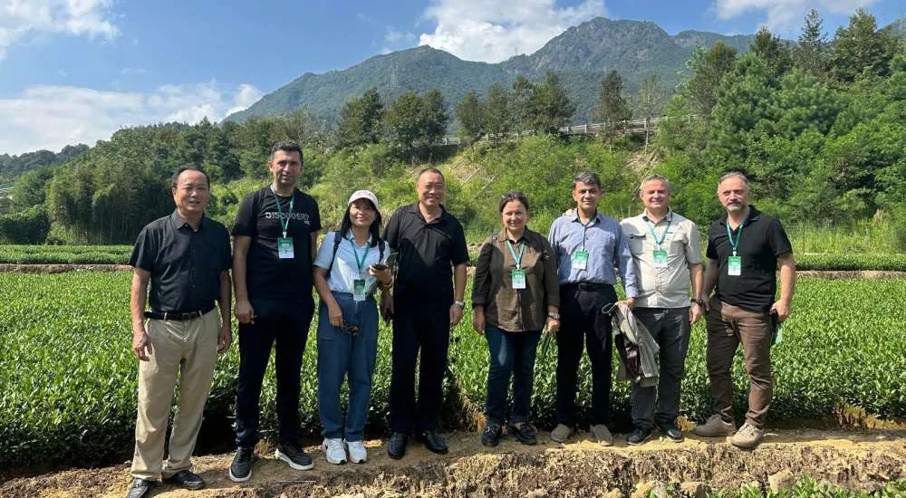 RTEÜ, çay için Çin'e gitti