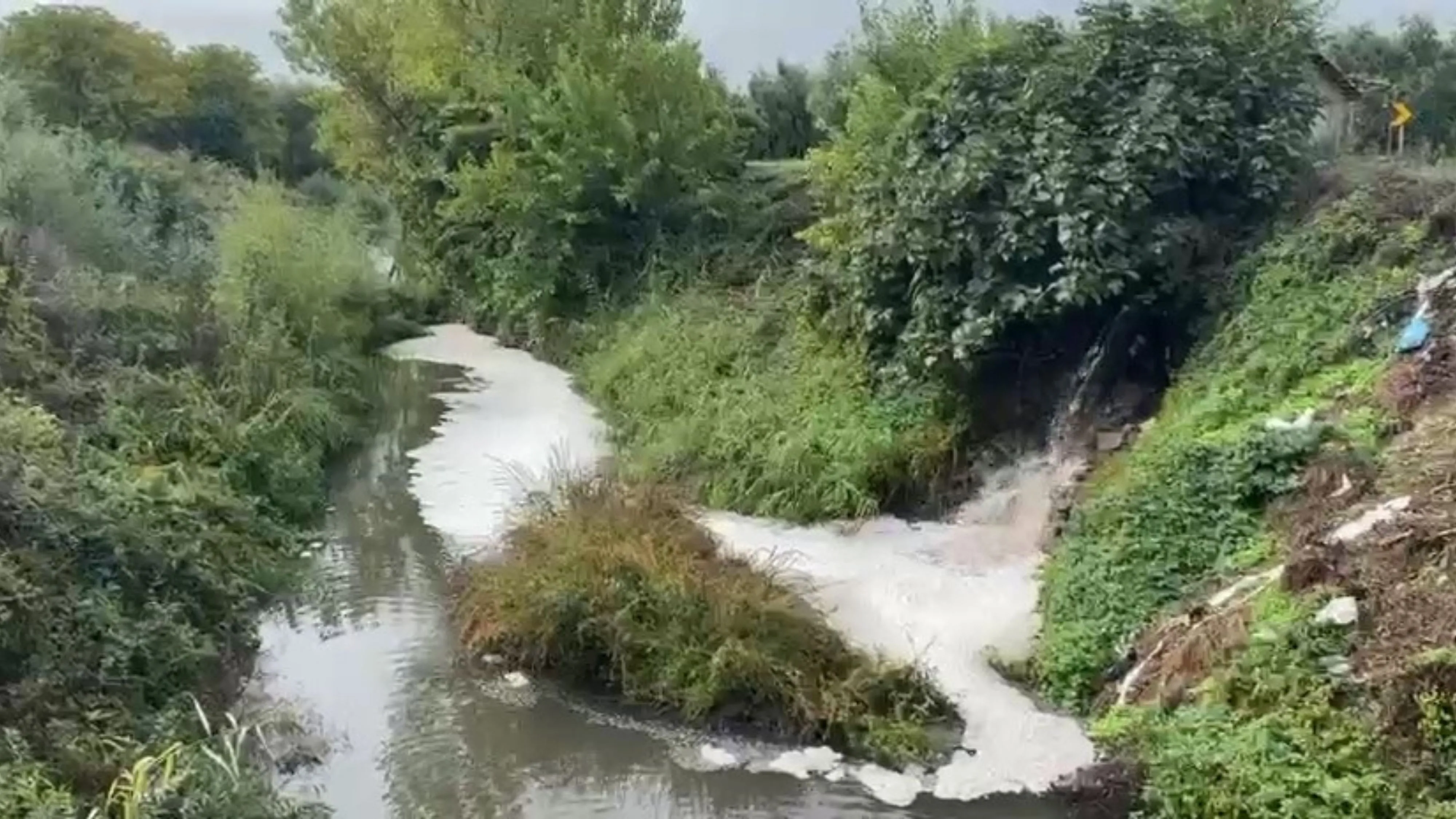 Gemlik Körfezi'nde kirlilik endişeye yolaçıyor