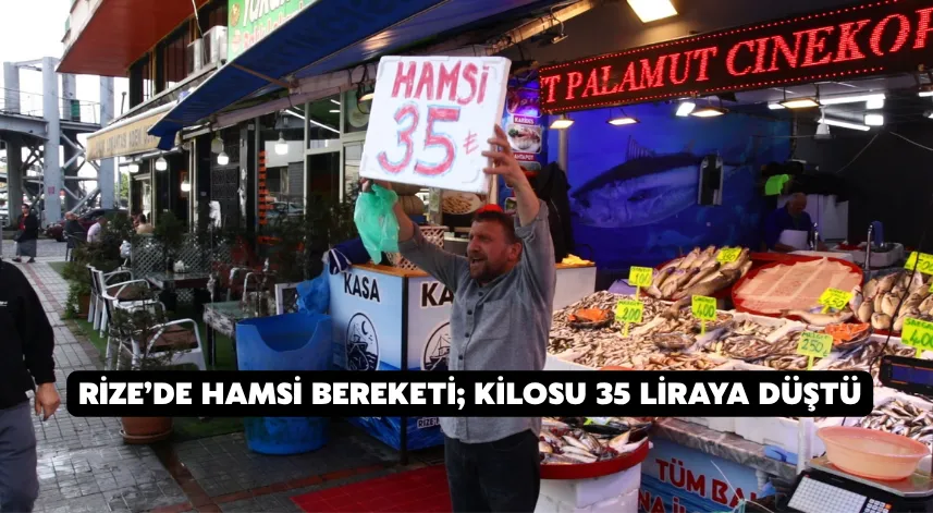 Rize’de hamsi bereketi; kilosu 35 liraya düştü