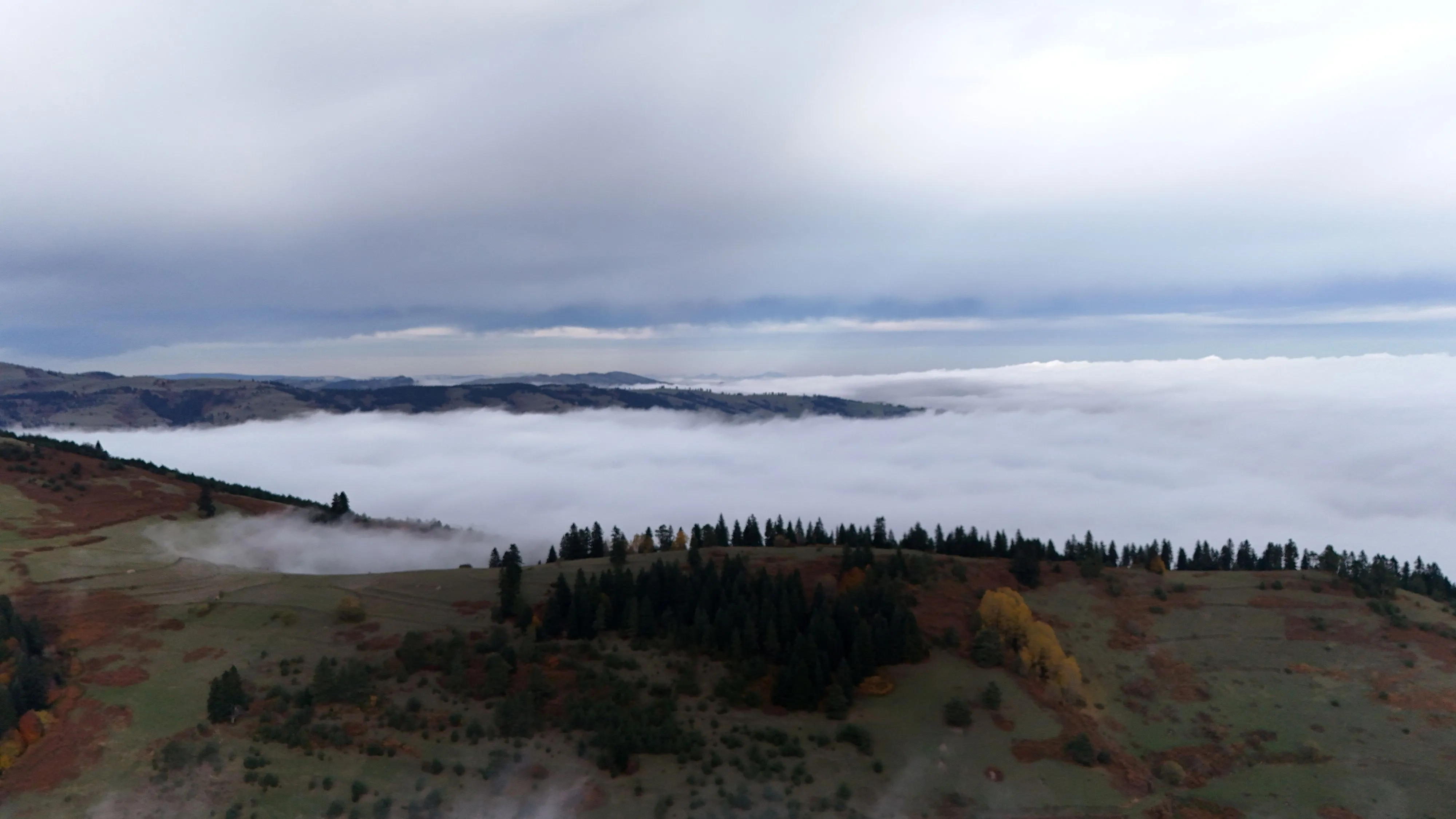 Samsun'da 1650 rakımlı Dürtmen Dağı'ndaki 