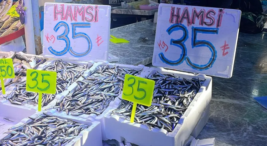 Rize’de Balık Fiyatları Yüzleri Güldürdü