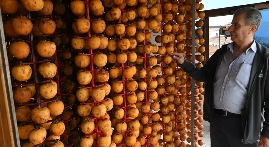 Trabzon hurmasını kendi tasarladığı aletlerle kurutup gelirini katladı