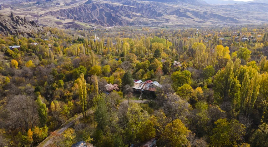 Giresun'da dut bahçeleri sonbahar renklerine büründü