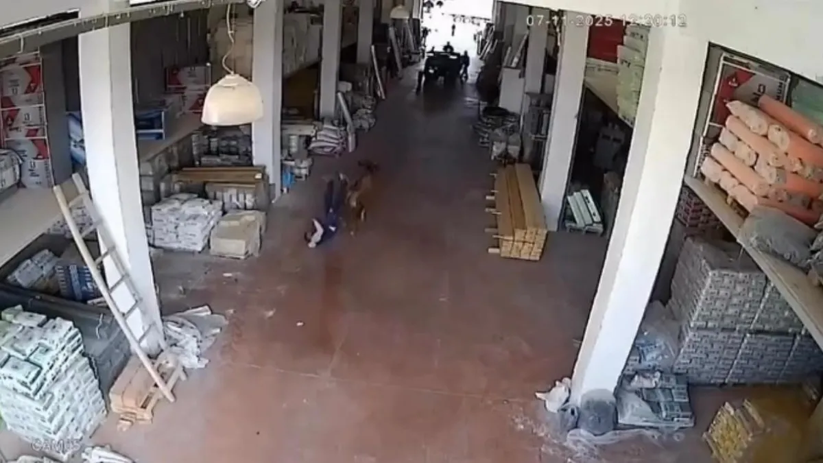 Depoya giren inek çalışanlara saldırdı: Vatandaşlar güçlükle kurtuldu