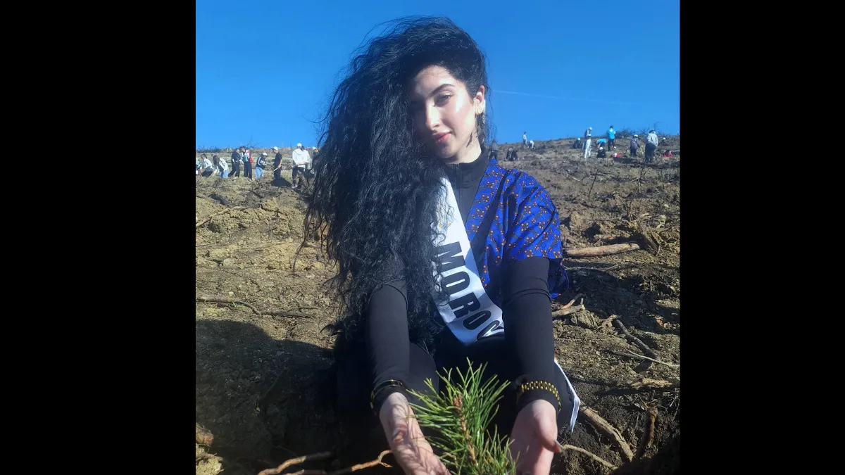 Güzellik yarışmasının Afrikalı finalistleri, Bolu'da fidan dikti