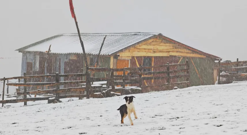 Ordu’nun yüksekleri beyaza büründü