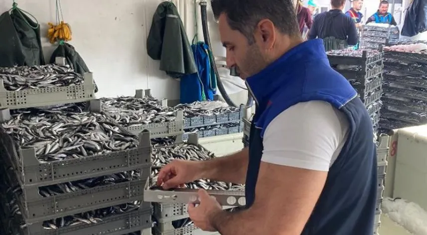 Samsun’da balık denetimleri: 109 kişi ve işletmeye 2,5 milyon TL ceza