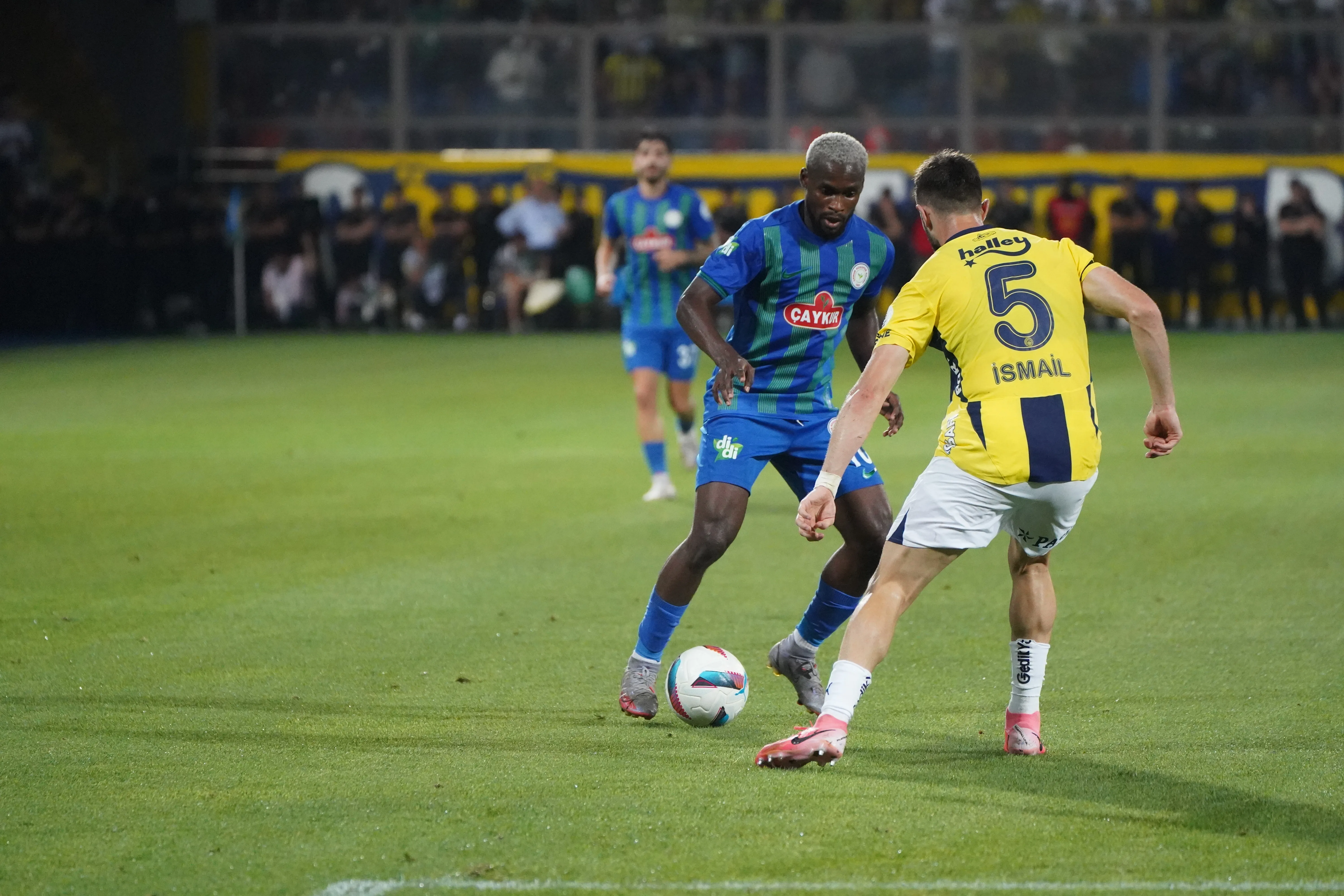 Atmaca, 47. kez Kanarya'ya Rakip Oluyor