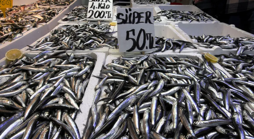 Trabzon’da hamside fiyat düştü, ilgi arttı