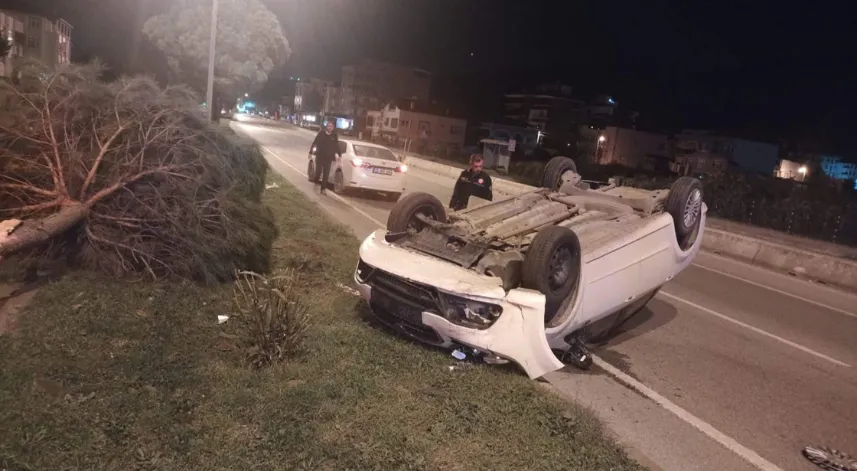 Otomobil, ağaca çarpıp ters döndü; 1 yaralı