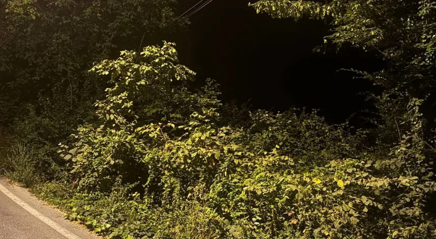 Fındık bahçesinde ölü bulundu