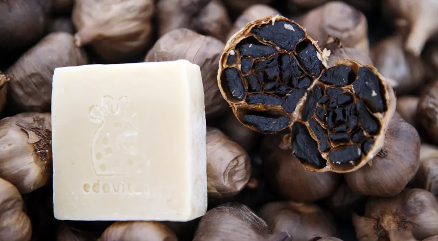 Taşköprü siyah sarımsağından sabun üretildi