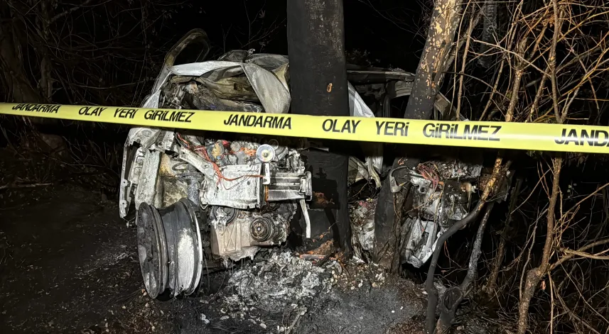 Ağaca çarpan hafif ticari aracın sürücüsü yanarak öldü