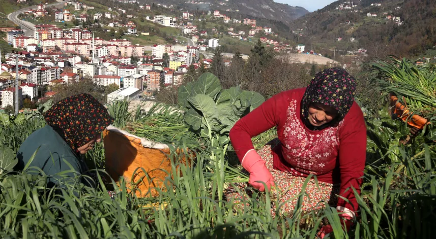Karadeniz kadınının yayladan stadyuma uzanan Trabzonspor tutkusu