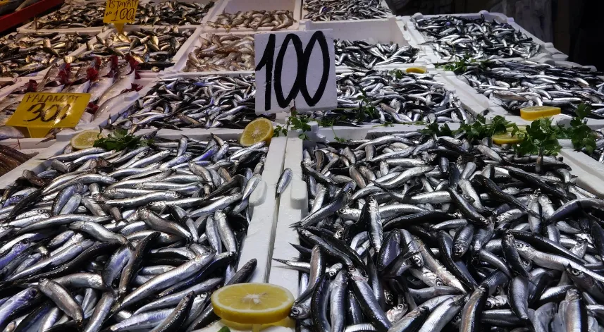 Balık tezgahlarında hamsi bolluğu