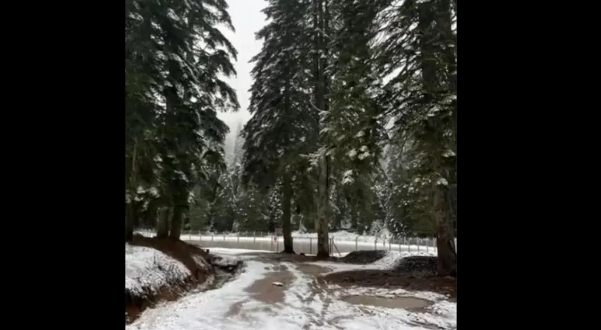 Bartın'ın yüksek kesimlerine ilk kar düştü