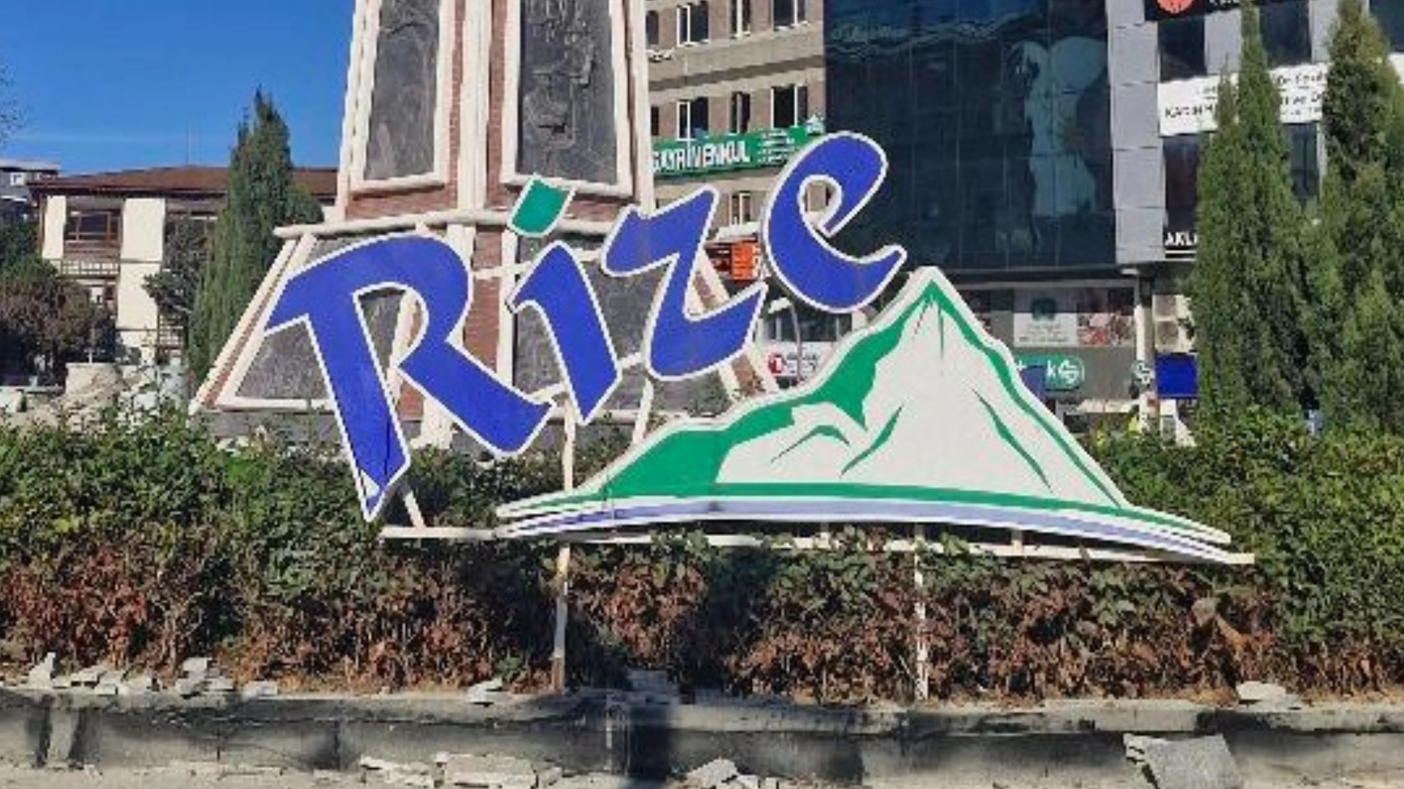 Rize'nin GSYH'de en büyük payı aldığı kol