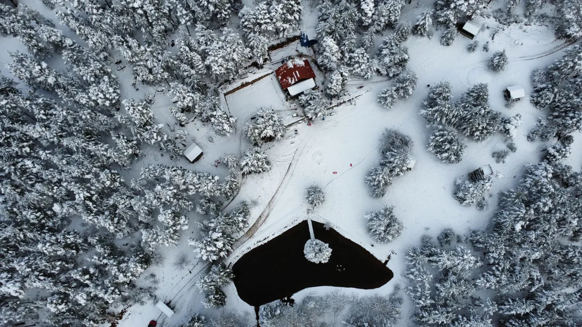 Gümüşhane'de Kent Ormanı, kar yağışıyla beyaza büründü