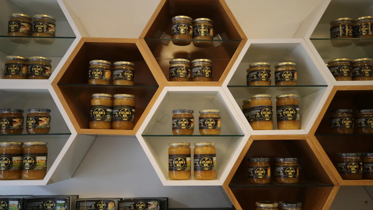 Karabük'te gençlerin ve kadınların istihdamını hedefleyen arıcılık projesi tamamlandı