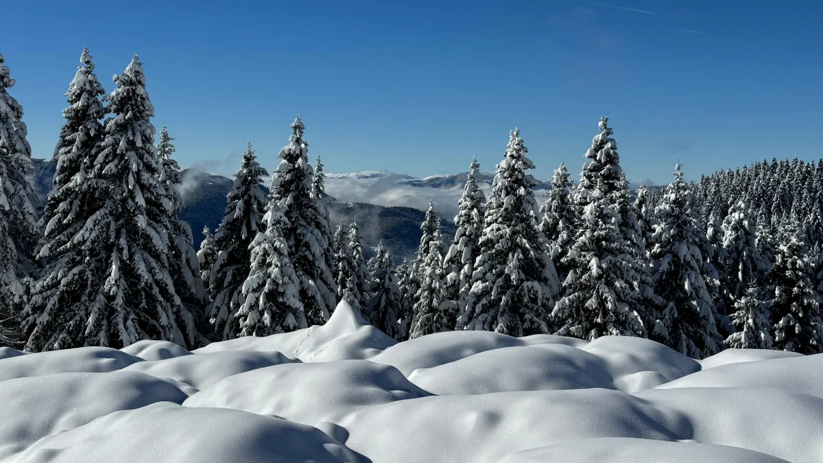 Ordu'da 2 bin rakımlı yaylada kar manzarası