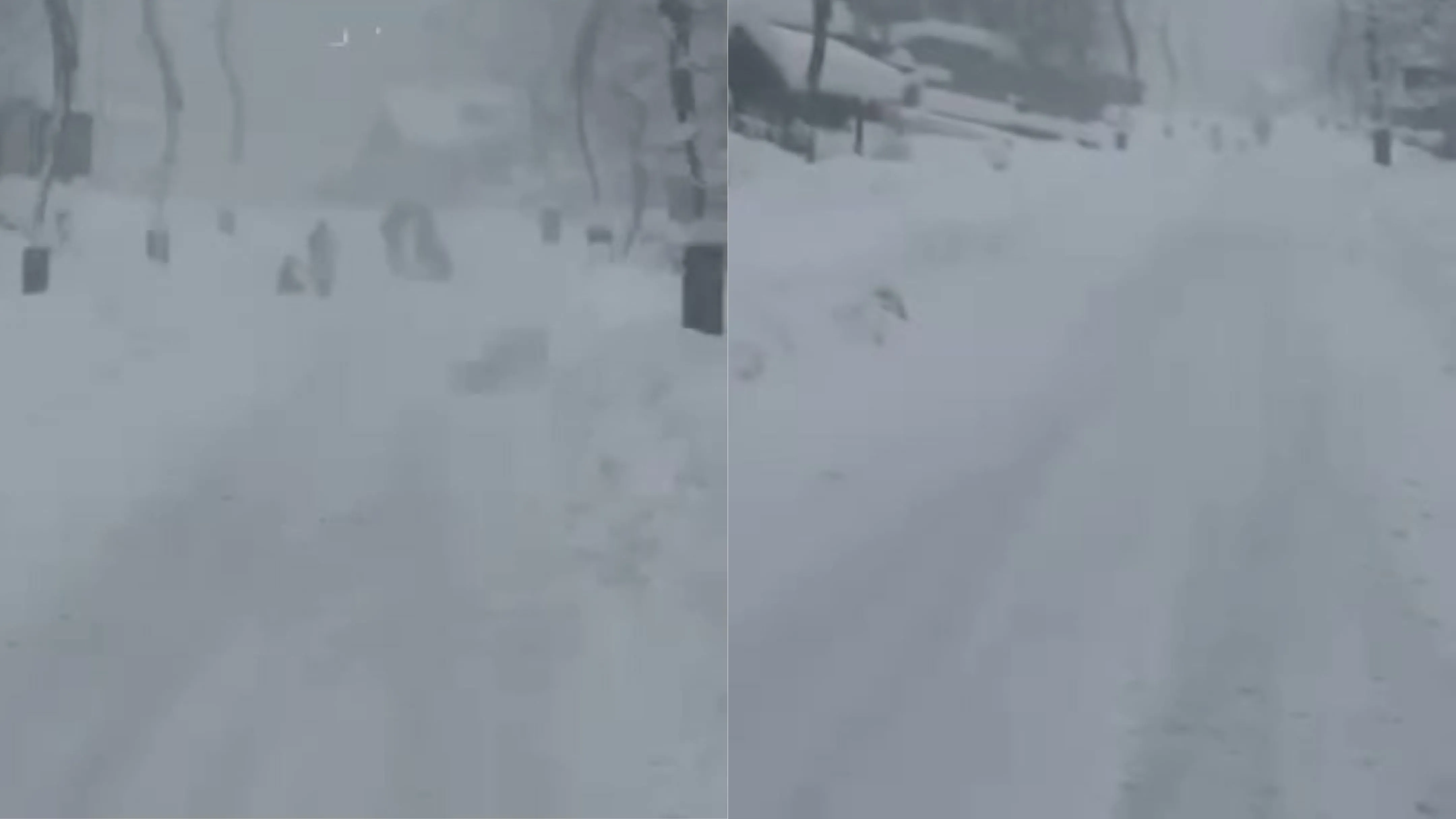 Ayder Yaylası’nda kar yağışı etkisini artırdı