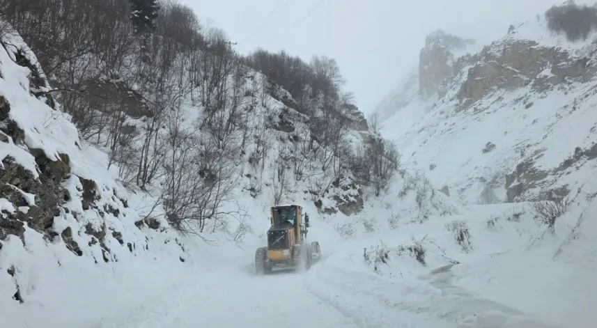 Artvin'de çığ! 3 çoban için arama çalışması başlatıldı!