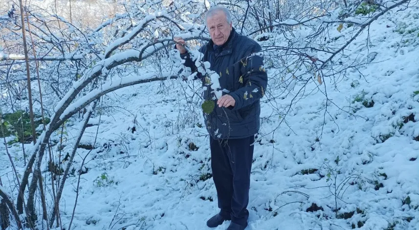 Mevsiminde yağan kar fındık üreticisini sevindirdi