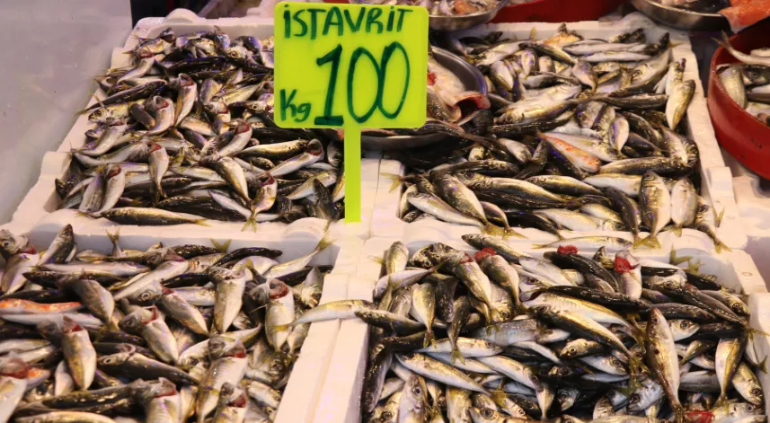 Rize'de istavritin kilogramı 100 liradan satılıyor