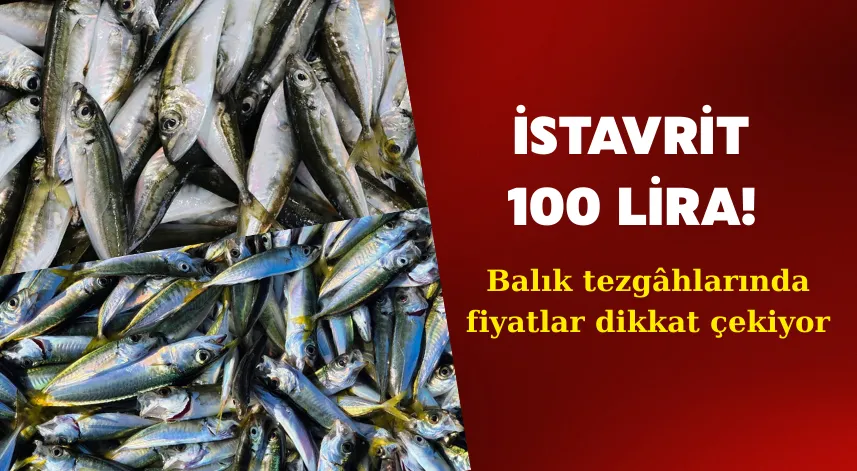 Rize'de istavritin kilogramı 100 liradan satılıyor
